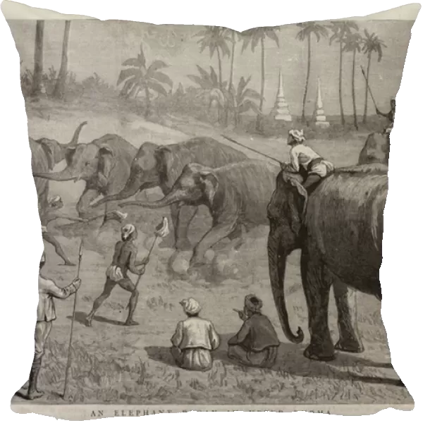 An Elephant Pooay in Upper Burma (engraving)