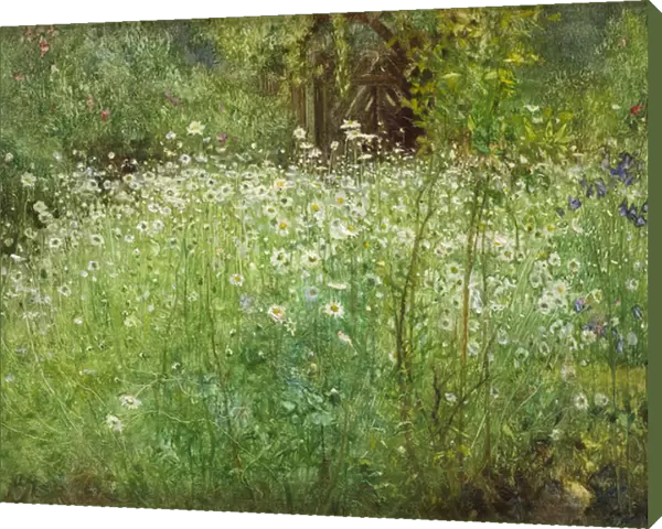 Oxeye Daisies and Irises, 1920 (oil on panel)