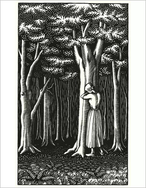 Illustration for Tess Of The D Urbervilles by Thomas Hardy (engraving)