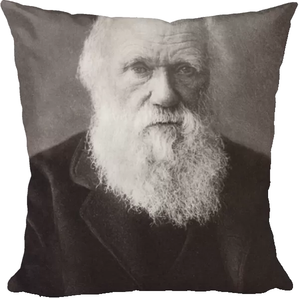 Charles Darwin, portrait, c 1880 (b  /  w photo)