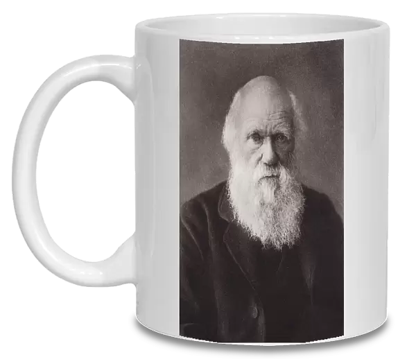 Charles Darwin, portrait, c 1880 (b  /  w photo)