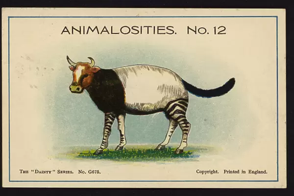 Animalosities No 12: Cow, Tapir, Zebra, Cat (colour litho)