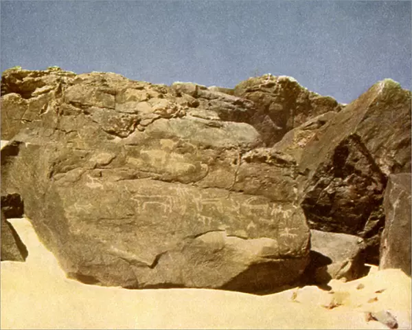 Rock bearing prehistoric heiroglyphics, Egypt