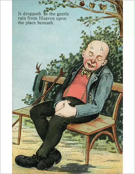 Birds shitting on the head of a bald man snoozing on a bench (colour litho)
