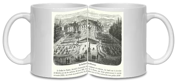Le Jardin des Plantes (engraving)