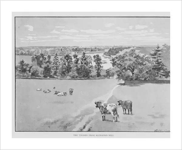 The Thames from Richmond Hill (litho)