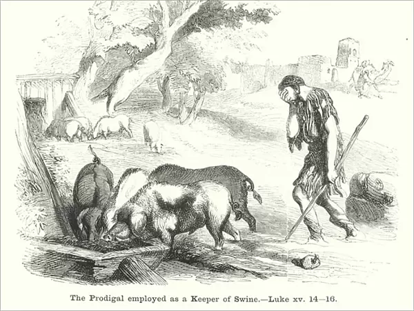 The Prodigal employed as a Keeper of Swine, Luke xv, 14-16 (engraving)
