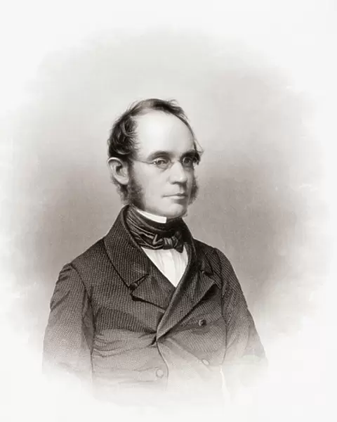 Augustus Schell. Portrait