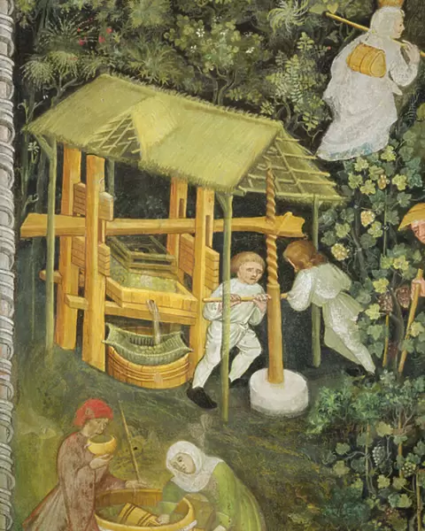Crushing grapes. The wine press (fresco)