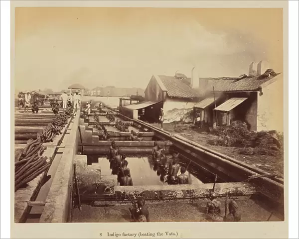 Indigo factory (loading the vats), 1877 (albumen silver print)
