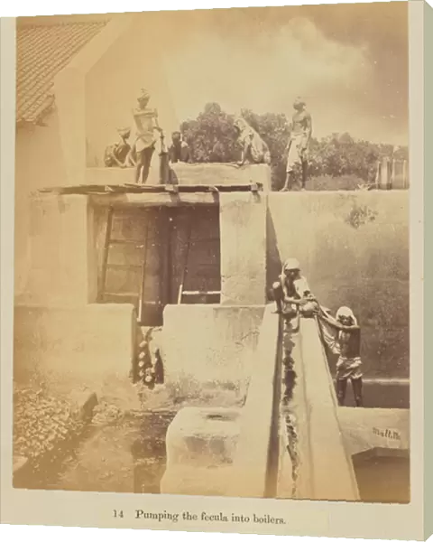 Pumping the fecula into boilers, 1877 (albumen silver print)
