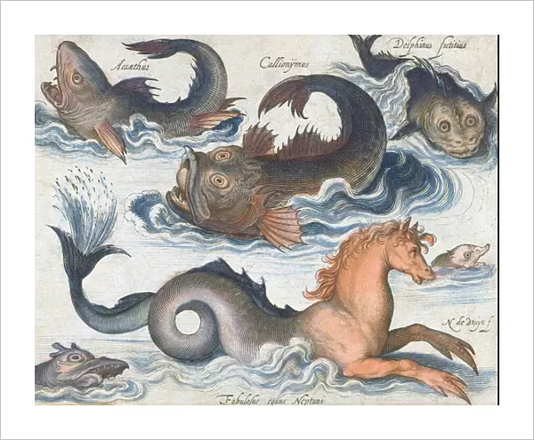 Seahorse and imaginary aquatic creatures