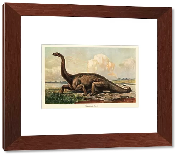 Extinct Diplodocus longus on the plains. 1908 (illustration)