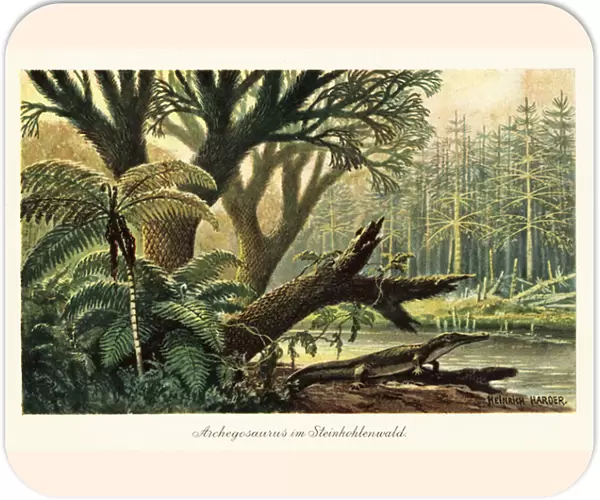 Archegosaurus decheni by a river in a primordial jungle. 1908 (illustration)