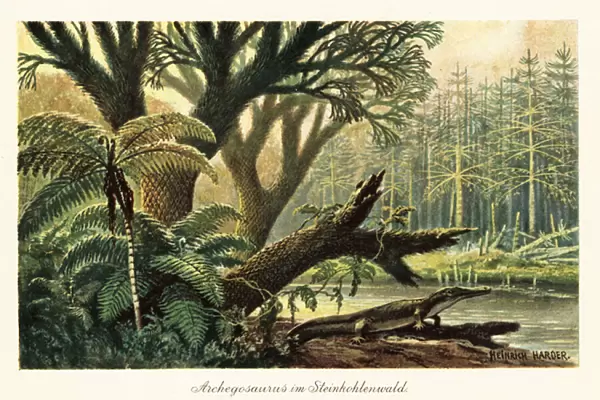 Archegosaurus decheni by a river in a primordial jungle. 1908 (illustration)