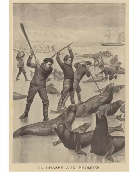 Seal hunting in Newfoundland (litho)