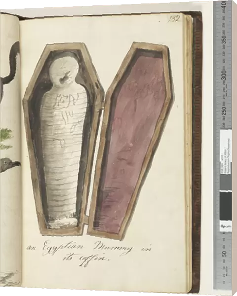Page 132. An Egyptian mummy in its coffin, 1810-17 (w / c & manuscript text)