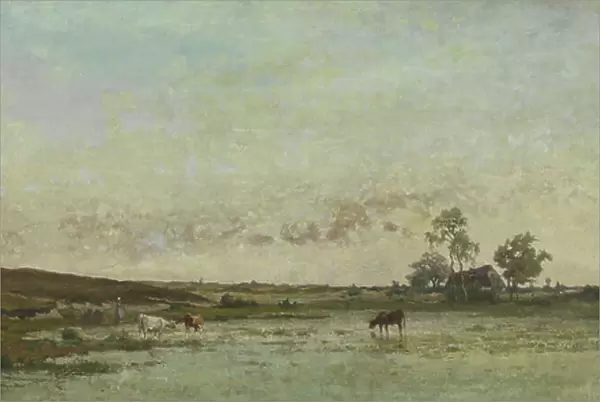 Fen in the 'Kempen' (oil on canvas)