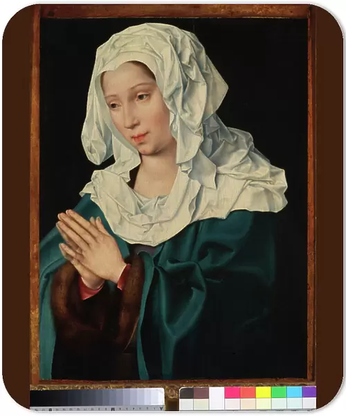 The Virgin in Prayer, Second Decade 16th Century (oil on board)