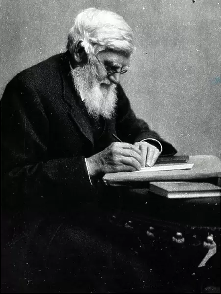 Alfred Russel Wallace, c. 1910 (b / w photo)