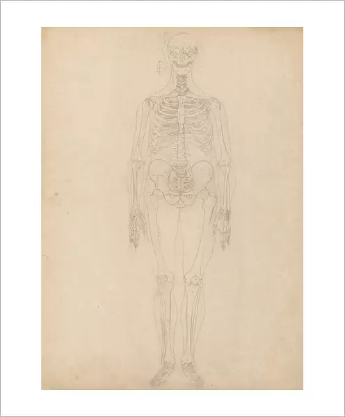 Study of the Human Figure, Anterior View, Diagram for Key to Table I, from A Comparative Anatomical Exposition of the Structure of the Human Body with that of a Tiger and a Common Fowl, c.1795-1806 (graphite on cartridge paper)