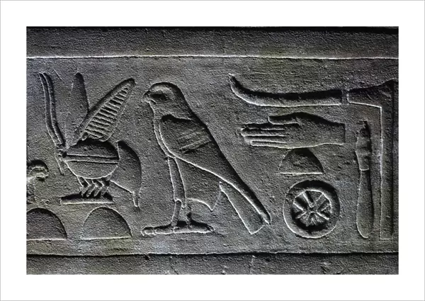 Hieroglyps, Pharaoh's Bee and the Horus Falcon, Horus Temple, Edfu