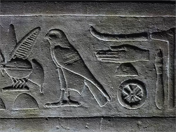 Hieroglyps, Pharaoh's Bee and the Horus Falcon, Horus Temple, Edfu