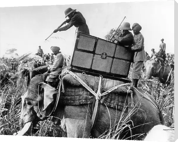 Neg: 67822PL Tiger Hunt Standing on Elephant George V Shoots Nepal, c.1911 (b / w photo)