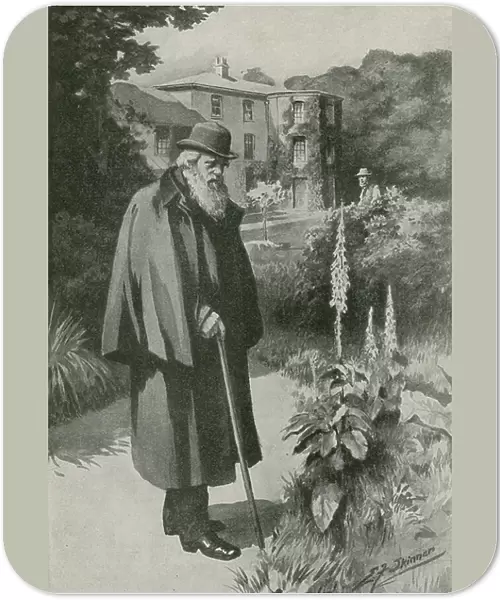 Charles Darwin in his garden at Down House (litho)