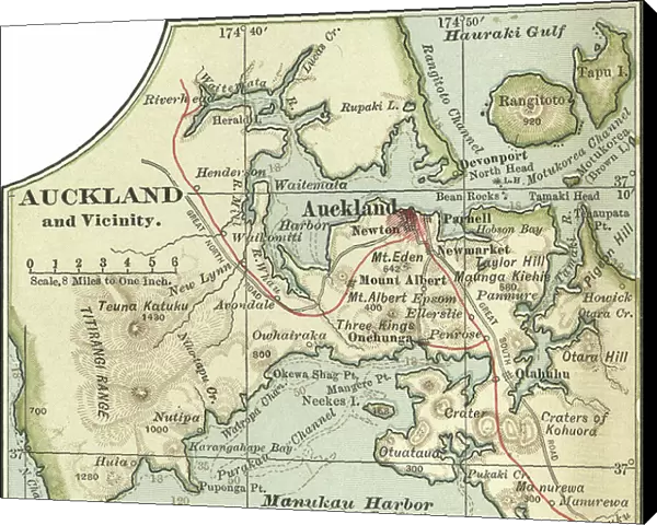 Map of Auckland, c.1900 (engraving)