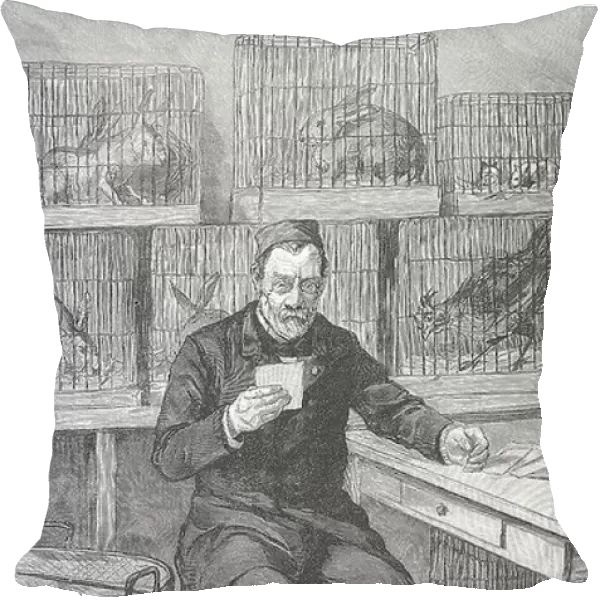 Louis Pasteur (1822-1895) French chemist, in his laboratory at the Ecole Normale, Paris, during his work on hydrophobia. Around him are cages full of the animals he used during his experiments. From Le Journal de la Jeunesse Paris, 1893