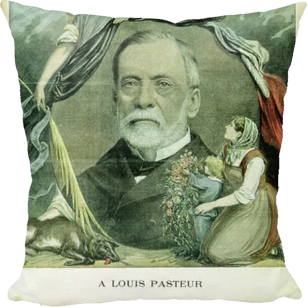 Louis Pasteur (1822-1895) French chemist