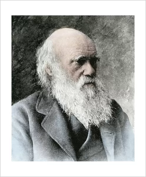 Charles Darwin, about 1880