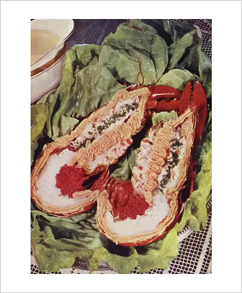 Lobster salad (colour photo)