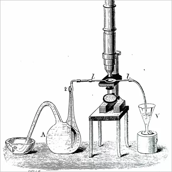 Louis Pasteur's first apparatus for cooling and fermenting wort