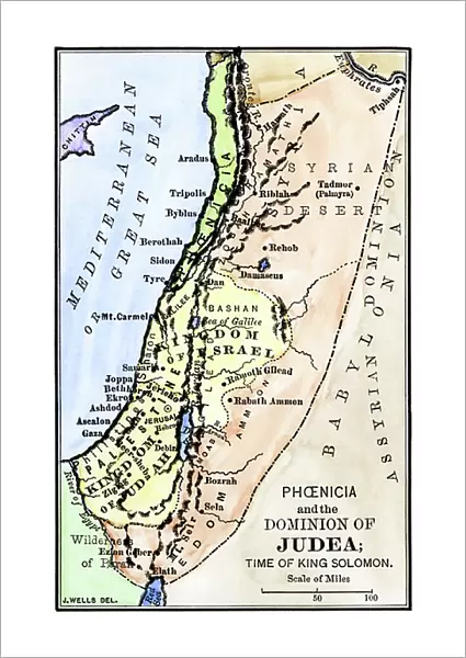 Map of Phenicia and the Kingdom of Judee under King Solomon, 10th century BC (Old Testament). The following territories are represented: Holy Land, Palestine, Gaza Strip, Lebanon, Syria, Phenicia, Tyre, Sidon and Israel