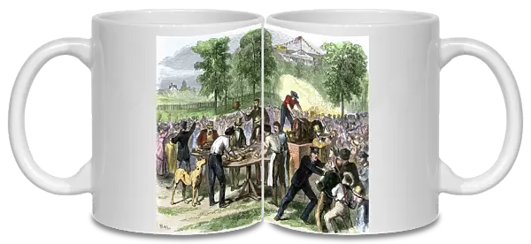 American daily life: the Irish immigrant community brings together for the barbecue of a whole beef, the Brennan Society's charity picnic, organized in Lion Park in New York, around 1860. Colour engraving, 19th century