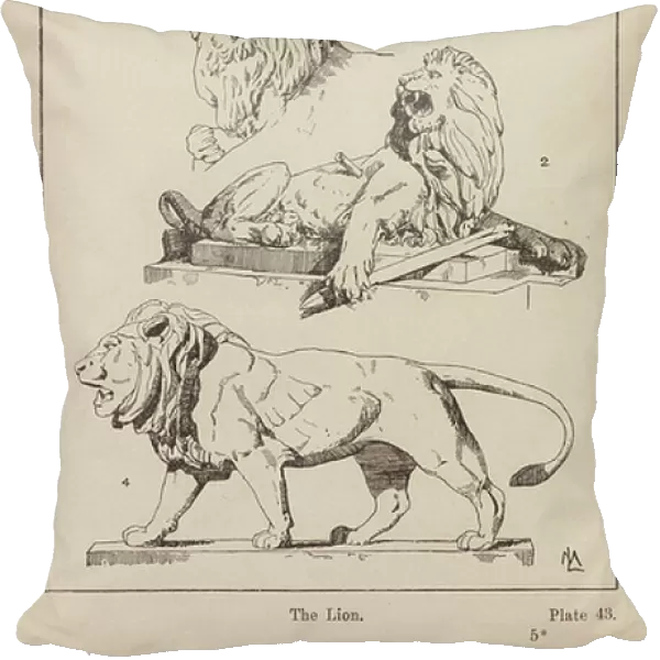 Ornament: Natural Forms, The Lion (engraving)