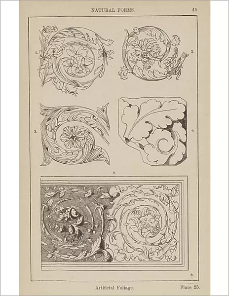 Ornament: Natural Forms, Artificial Foliage (engraving)