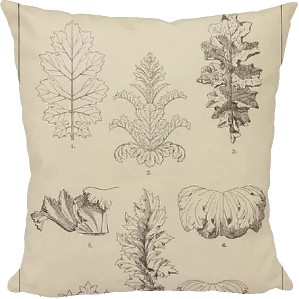 Ornament: Natural Forms, The Akanthos Leaf, and the Artificial Leaf (engraving)