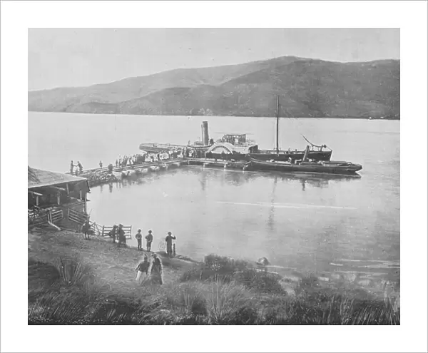 New Zealand, 1890s: Port Levy (b / w photo)
