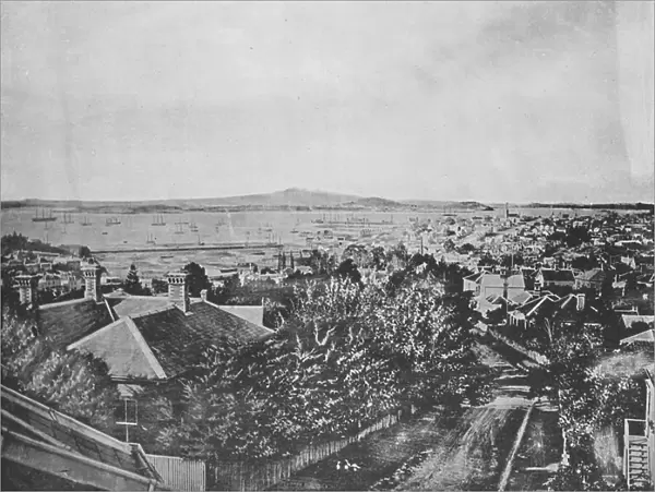 New Zealand, 1890s: Auckland Harbour (b / w photo)