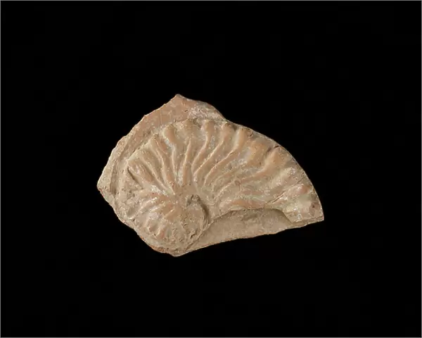 Sherd decorated with argonaut in relief. Red slipped on reverse, -50 BC (ceramic; slipped)