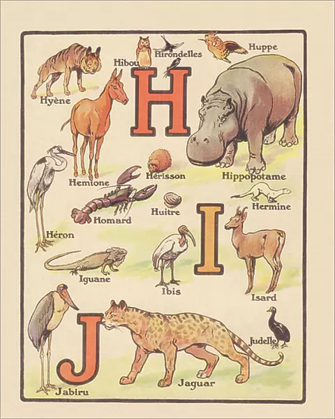 OUR ANIMALS ALPHABET H I J, 1920 (illustration)