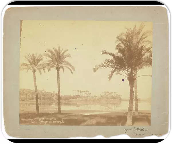 Village of Memphis, Egypt, c.1898-1920 (b / w photo)