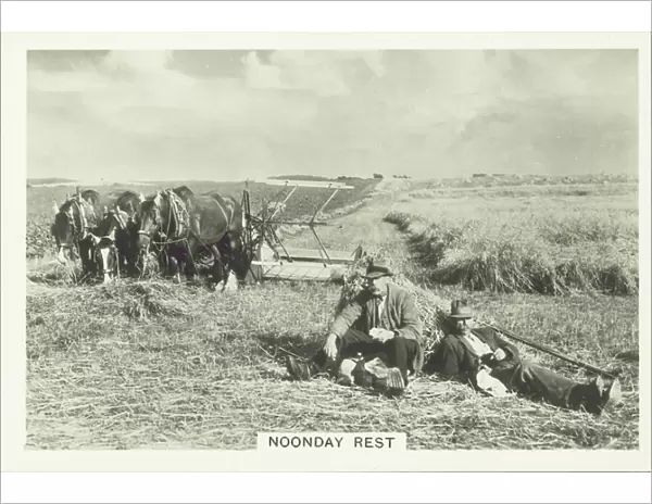 Our Countryside, 1938: Noonday Rest (b / w photo)