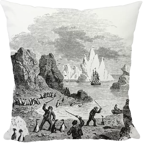 Sailors clubbing Boobies (a species of gannet) to obtain meat, 1850
