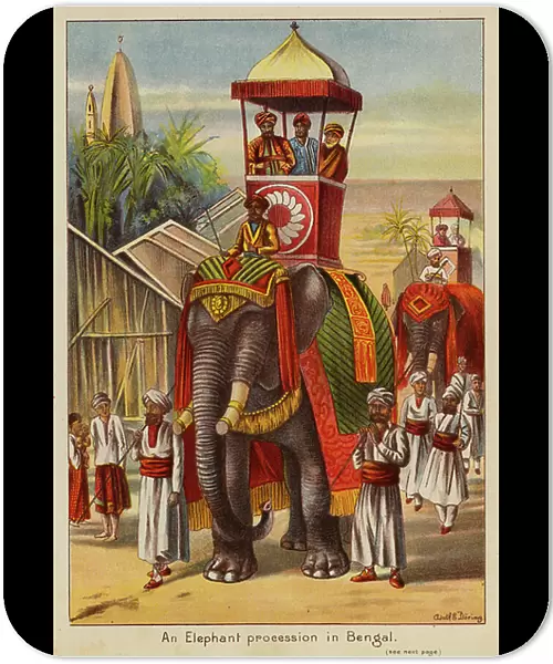 An Elephant procession in Bengal (colour litho)