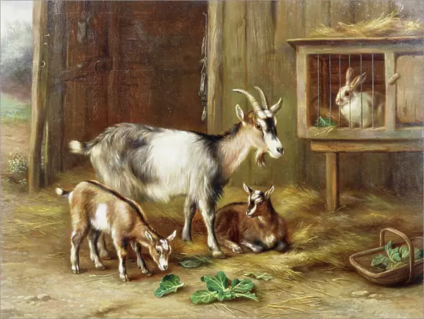 Goats by a Rabbit Hutch, 1919 (oil on canvas)