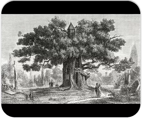 The Chene chapelle, or chapel oak, 1882